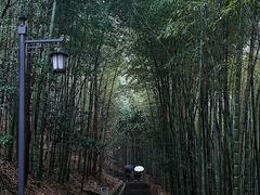 -敬亭山风景名胜区