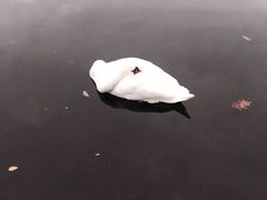 -海德公园