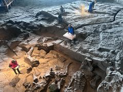 -自贡恐龙博物馆