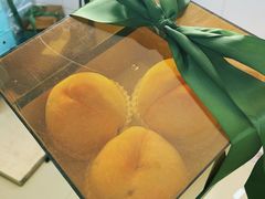 -老袁家蜜桃农场·阳山水蜜桃