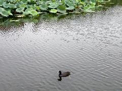 -前关湿地公园