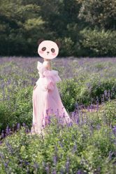 点击看大图 -第一夫人婚纱摄影(南京店)