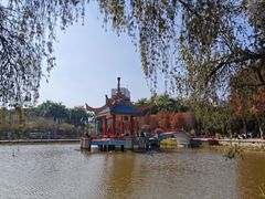 -金砂公园