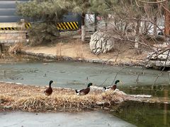 -三里河公园