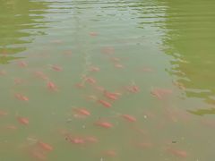 -伏羲大峡谷