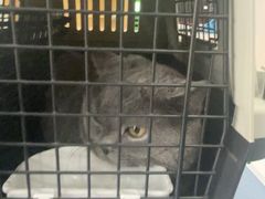 -佑安动物医院·全科·内窥镜中心(幸福巷店)