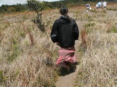 -夏威夷火山国家公园