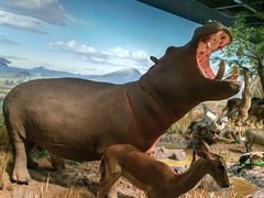 -陕西自然博物馆