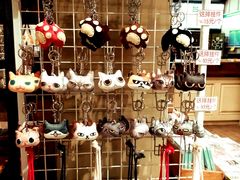 -猫咪博物馆(顶澳仔猫街店)