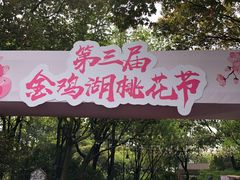 -金鸡湖桃花岛