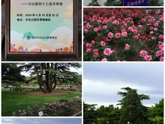 -天坛公园
