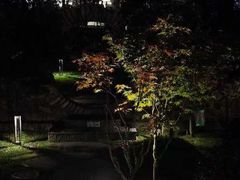 -云禾壹海景庄园餐厅