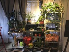 -吃饼人西餐(南开店)