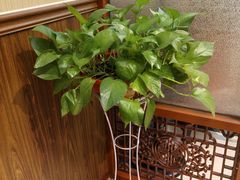 -福泉海码头(六里山店)