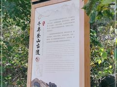 -北京鹫峰国家森林公园