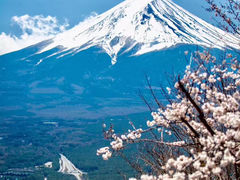 -富士山吉田線五合目