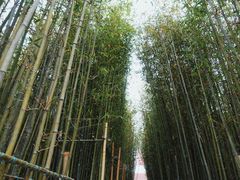 -海心沙亚运公园