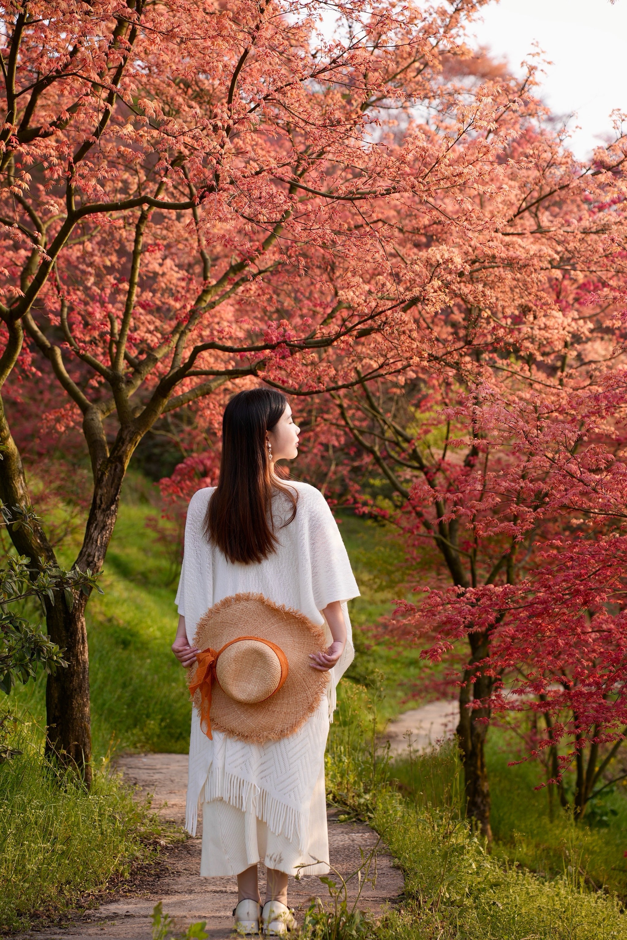 枫叶红了!充实小众赏枫秘境,美成油画了!