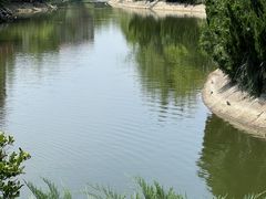 -芭东小镇温泉
