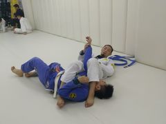 -菠萝格斗巴西柔术训练馆