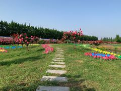 -上海长兴岛郊野公园