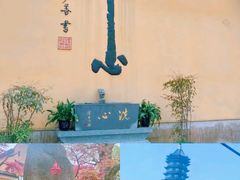 -东极岛景区
