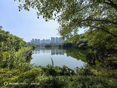 -重庆彩云湖湿地公园