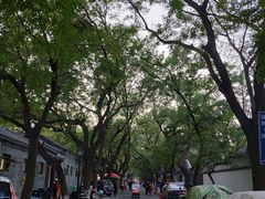 -北京国子监胡同