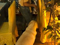 -朕悦鹧鸪饭私房菜