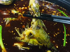 -金海椒罐罐鲢鱼(东方桂苑店)