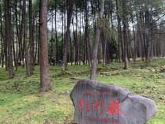 -硗碛藏寨·神木垒景区