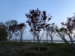 -郑东新区龙湖公共艺术中心