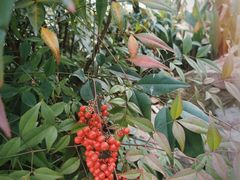 -合肥三国新城遗址公园