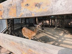 -圣露庄园·露营·烤肉·亲子