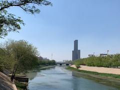 -桃花堤公园