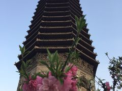 -玲珑塔公园