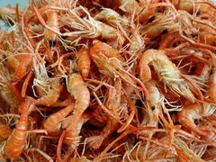 -水库活鱼馆(于桥水库店)