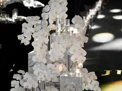 -曲江惠宾苑宾馆(大雁塔大唐不夜城店)