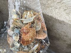 -海之味海鲜大咖·家常菜