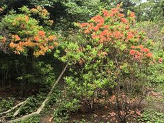 -沈阳植物园