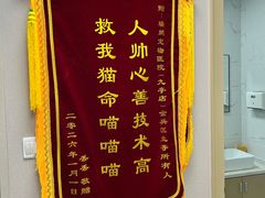 -瑞鹏宠物医院·骨外科·心肾科·肿瘤科(九亭店)