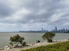 -深圳湾公园(南山区)