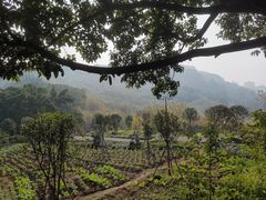 -艾坪山公园