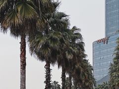 -金沙湖公园