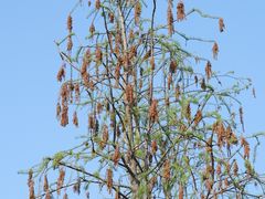-广富林郊野公园