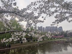 -堤角公园