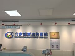 -北京观赏动物医院·24小时大型综合·猫专科·异宠专科