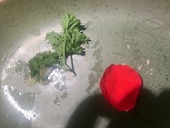 -芸山季·云南山珍菌火锅(南翔印象城MEGA店)