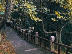 -峙山公园