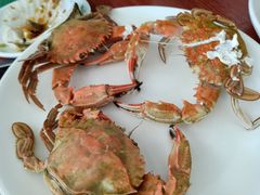 -四海鲜渔家菜(黄金海岸店)
